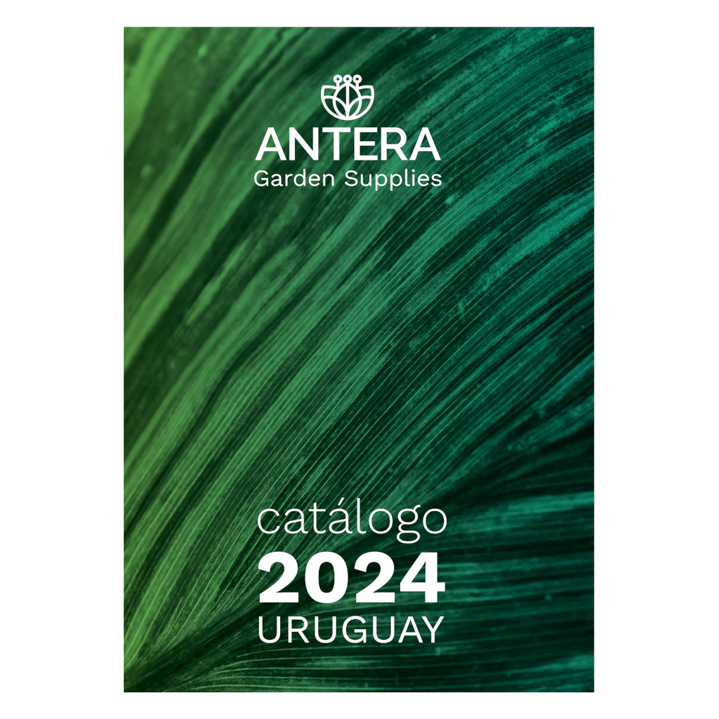 Catálogo Antera 2024 - OBSEQUIO AGS