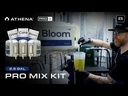 youtube - [Video]