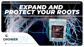 vimeo - [Video]