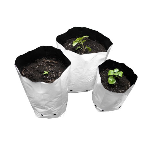 Bolsa de Cultivo Blanca 19 Litros - Pack 5 Uds.