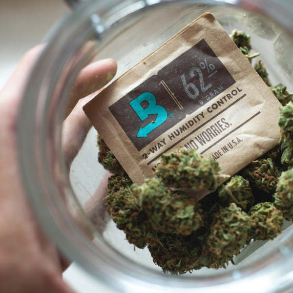 Boveda 8 gr 62% - Pack 10 Uds.