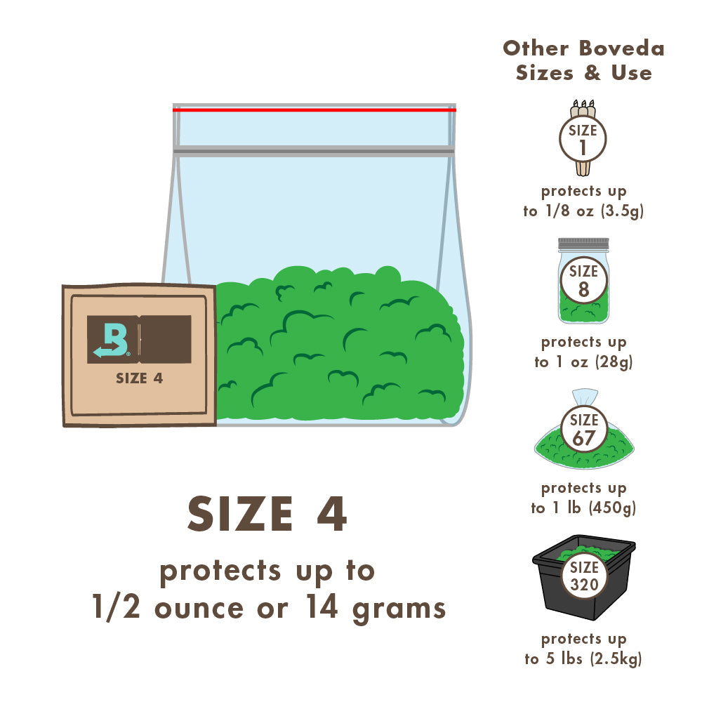 Boveda 4 gr 62% - Pack 10 Uds.