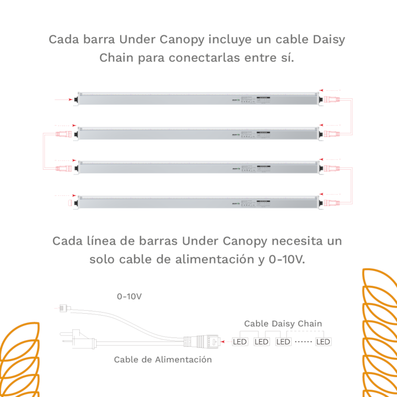 Nanolux Cable Alimentación y 0-10V Under Canopy