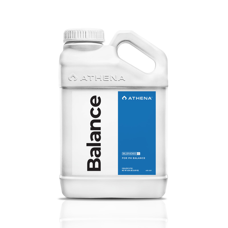 Athena Balance 3,8 Litros