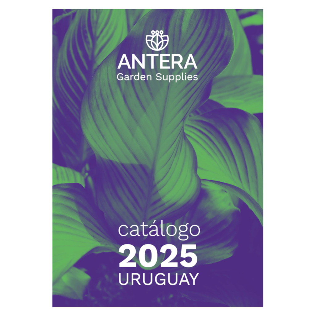 Catálogo Antera 2025 - OBSEQUIO AGS