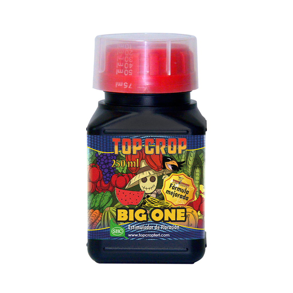 Big One 250 ml