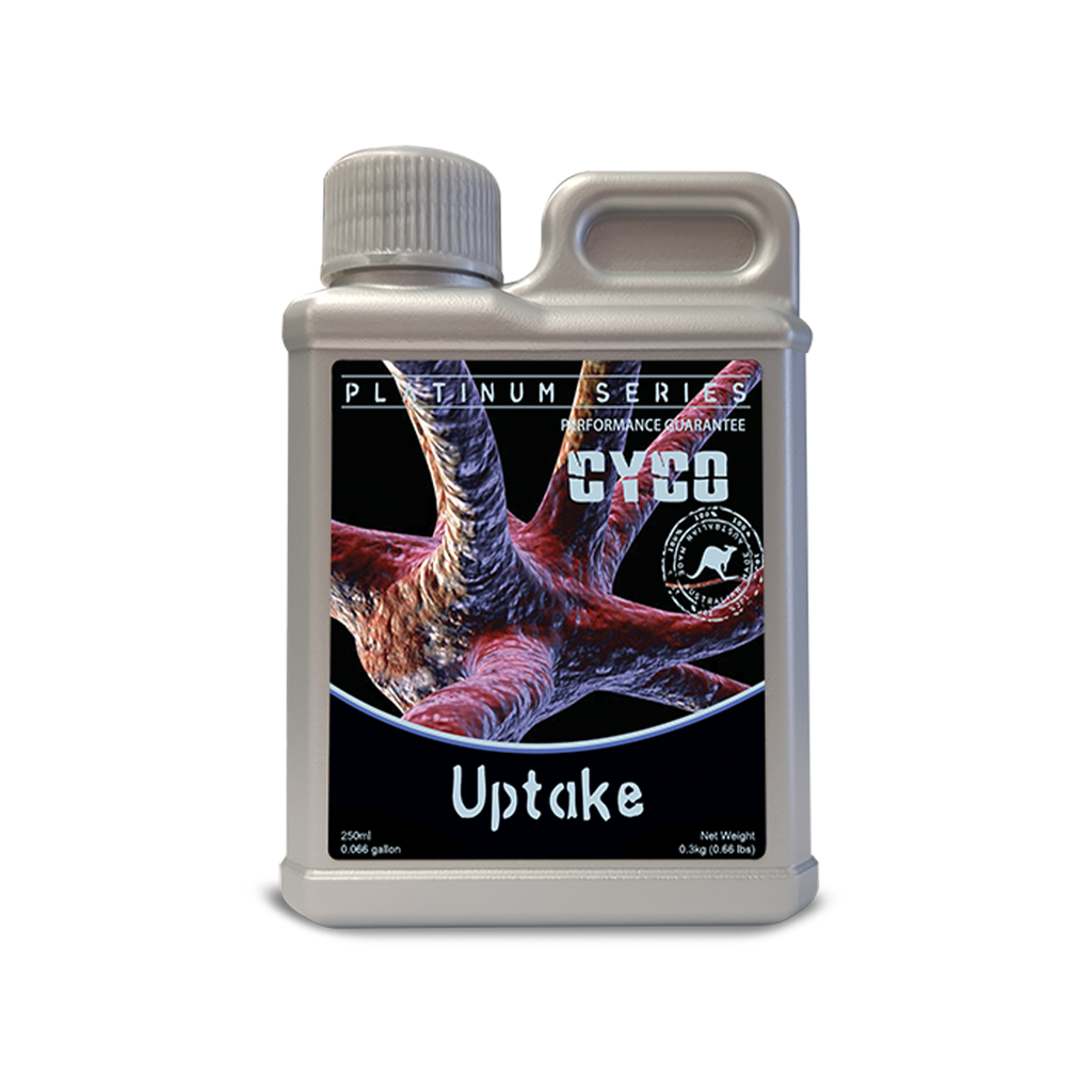 Cyco Uptake 250 ml